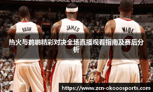 热火与鹈鹕精彩对决全场直播观看指南及赛后分析
